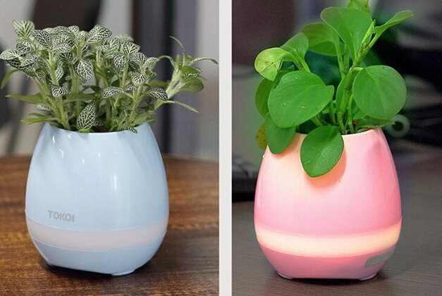 1498135003107506.jpg 1.jpg