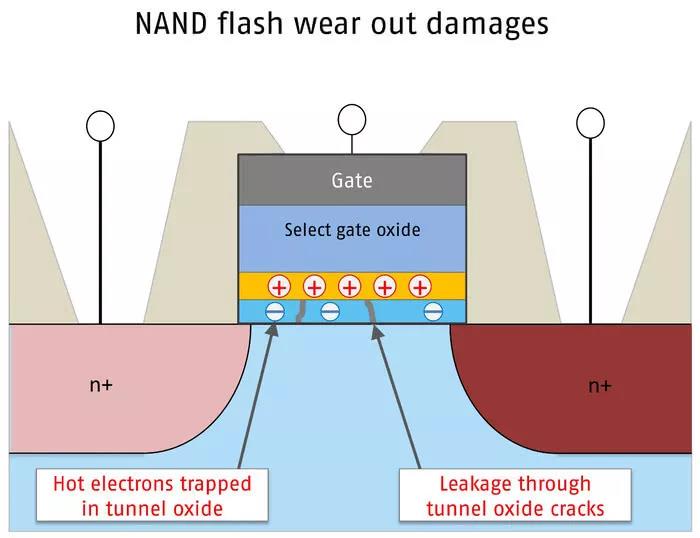 1538979523564215.jpg 4.jpg