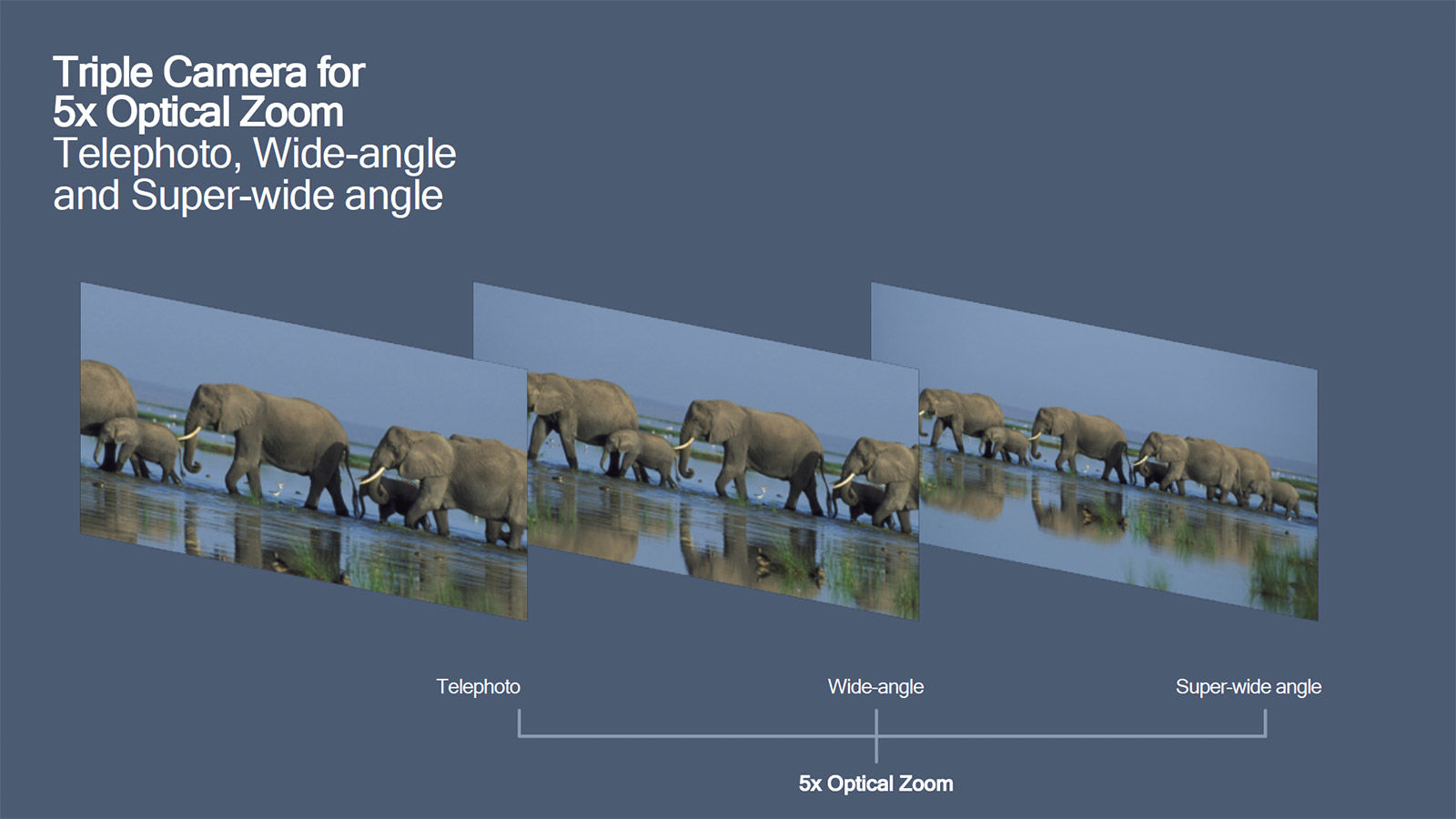 1541053980716999.jpg 2.jpg