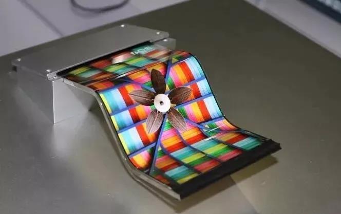 1536027969483301.jpg 2.jpg