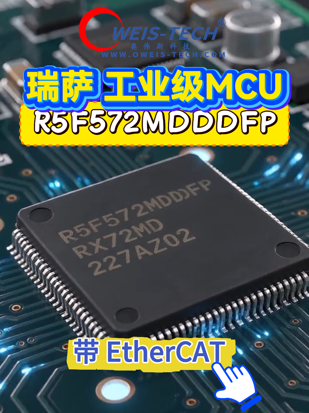 1786442936108203.jpg 8月11日(1).jpg